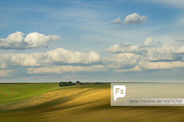 Landschaftliche Ansicht eines hügeligen Feldes gegen den Himmel bei Kyjov  Bezirk Hodonin  Südmährische Region  Mähren  Tschechische Republik