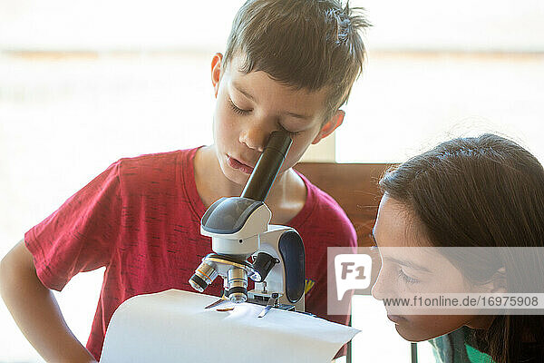 Boy looking into microscope with girl looking on