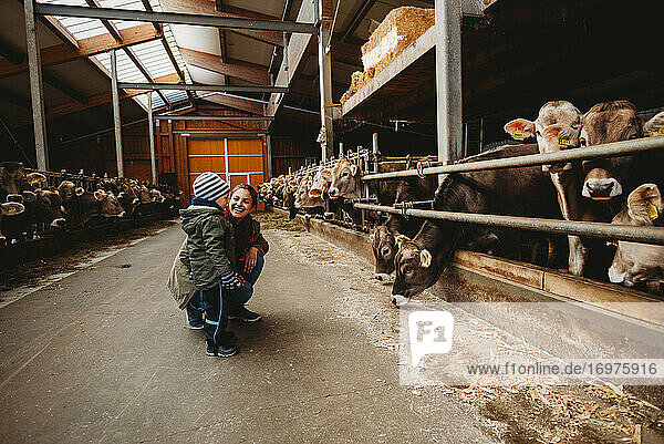 Mutter lächelt und Kind betrachtet Kühe im Stall im Winter