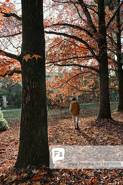 Frau geht im Herbst im Park spazieren