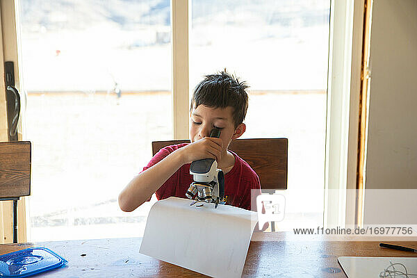 Boy looking into microscope at table at home