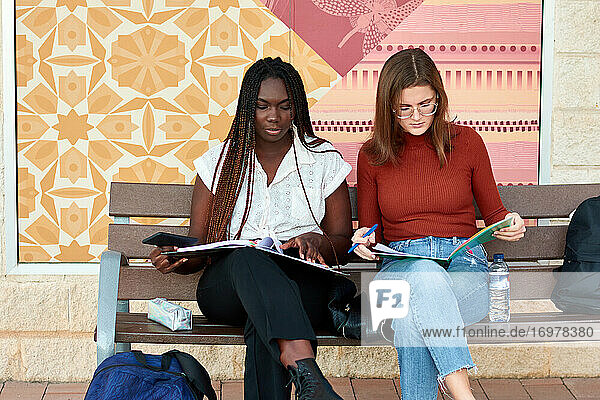 Zwei junge Frauen lernen auf einer Holzbank sitzend. Multiethnisch