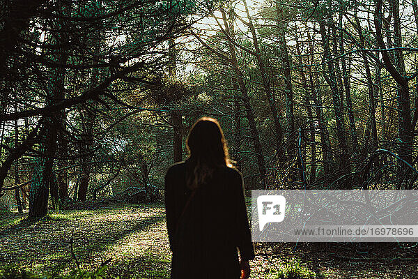 Eine junge Frau inmitten des Waldes mit dramatischen Farben