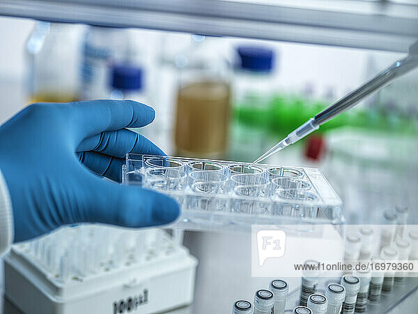 Biotechnologie  Wissenschaftler  der eine Probe in eine Multiwell-Platte pipettiert.