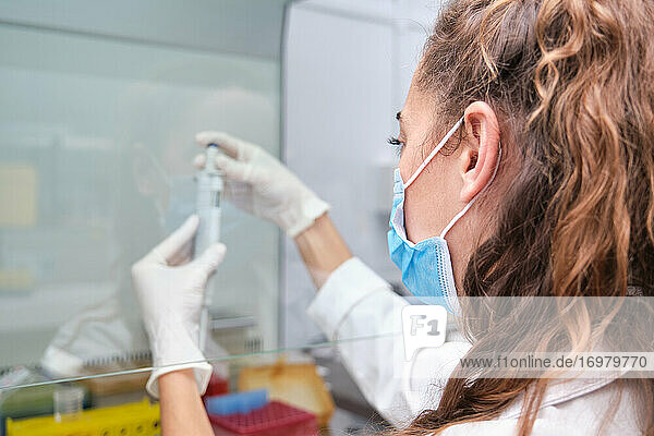 Junge Wissenschaftlerin mit Gesichtsmaske während eines Experiments in einer Laminar-Flow-Haube. Konzept für die Laborforschung.