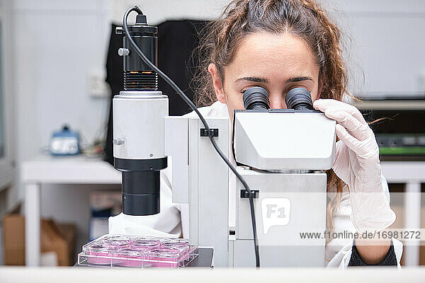 Junge Wissenschaftlerin schaut durch ein Mikroskop in einem Labor. Laborforschung Konzept.