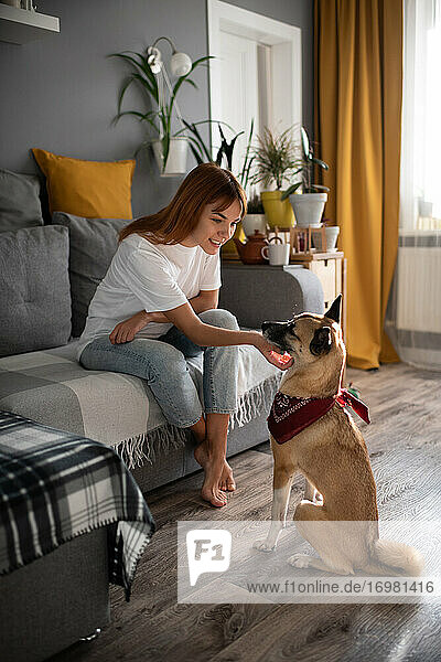 Smiling woman scratching dog at home