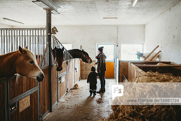Mutter und Kind füttern ein Pferd in einem Stall auf einem Bauernhof im Winter