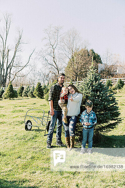 A young family with their christmas tree at a farm