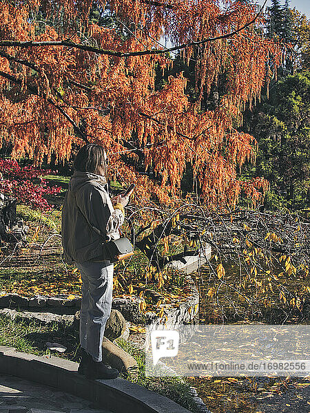 Frau am Seeufer im Park im Herbst stehend