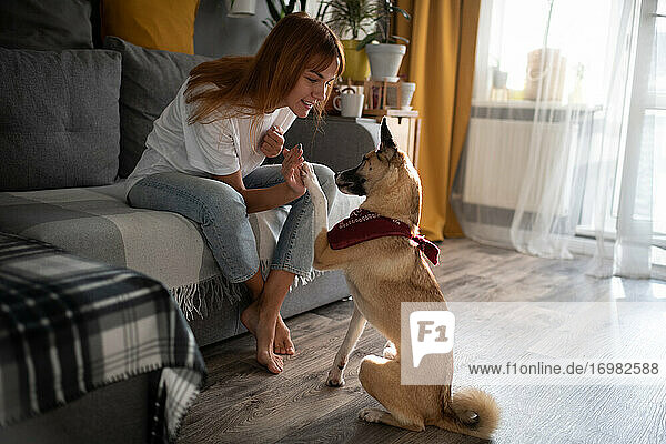 Barefoot woman playing with dog in living room
