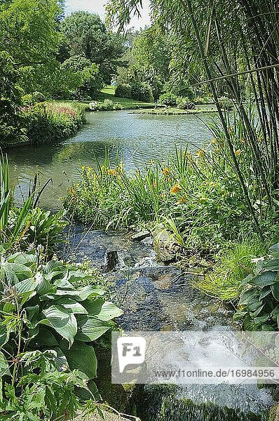 Gartenbach und Teich in Marwood Hill Gardens  Devon  Vereinigtes Königreich.