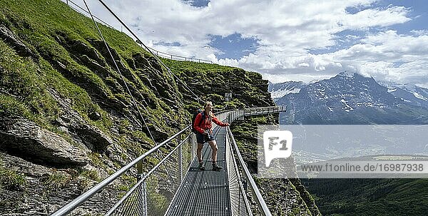Wanderin auf einem gesicherten Wanderweg am Abhang  First  Jungfrauregion  Grindelwald  Bern  Schweiz  Europa
