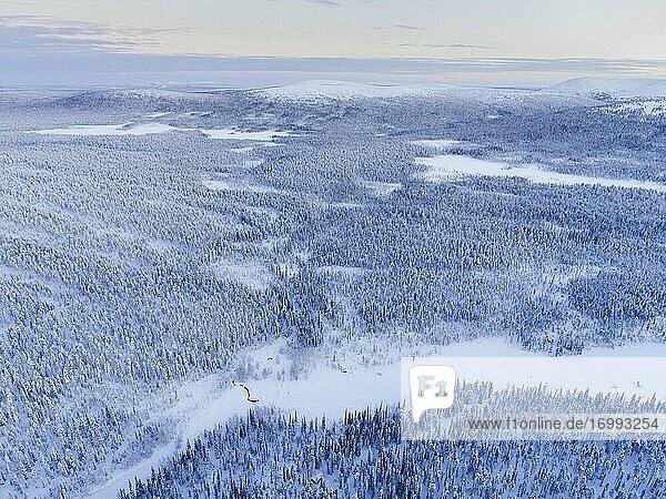 Aerial von gefrorenen Fluss und schneebedeckten Wald Winterlandschaft zeigt erstaunliche Lappland Landschaft in Skandinavien in Finnland Drohne