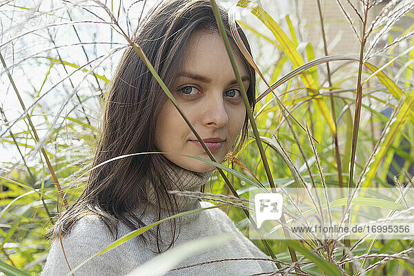 Porträt schöne junge Frau im hohen Gras