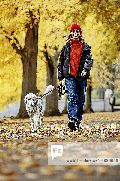 Lächelndes Teenager-Mädchen  das mit seinem Hund auf der Straße im Park spazieren geht