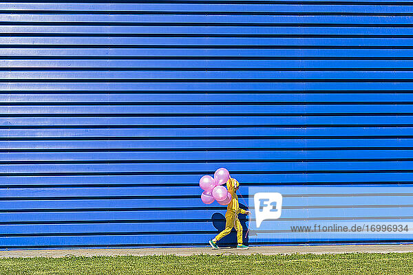 Little girl with pink balloons wearing yellow tracksuit walking in front of blue background