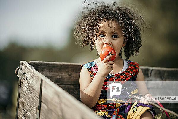 Mädchen schaut  während sie eine Tomate isst  die in einem Lastwagen sitzt