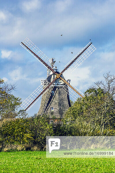 Hölzerne Windmühle im Feld