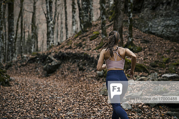 Junge Sportlerin  die im Herbst im Ordesa-Nationalpark im Wald läuft  Huesca  Spanien