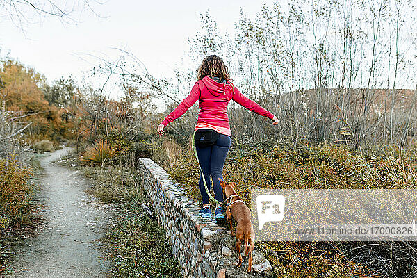 Mittlere erwachsene Frau mit ihrem Hund  die auf einer Stützmauer im Grünen spazieren geht
