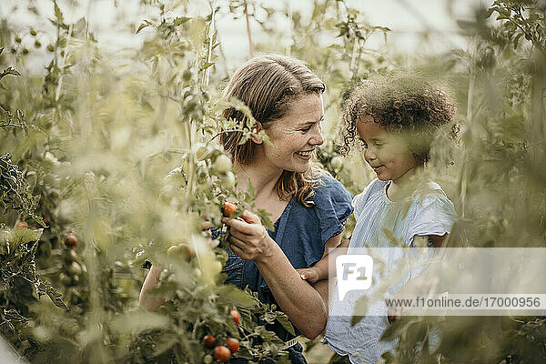 Lächelnde Frau sieht ihre Tochter bei der Ernte auf dem Bauernhof an