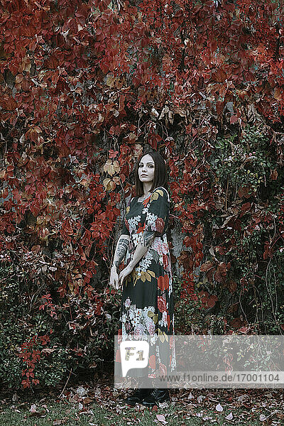 Schöne Frau steht gegen Efeu Wand im Herbst im Park