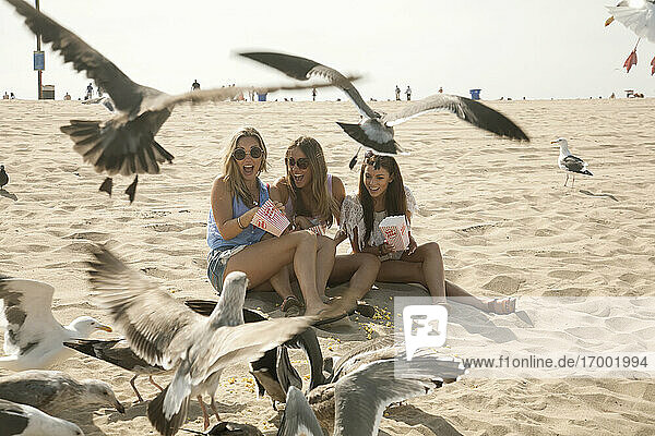 Junge Freundinnen füttern Möwen am Strand mit Popcorn