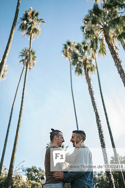 Glückliches homosexuelles Paar steht von Angesicht zu Angesicht vor Palmen gegen den klaren Himmel