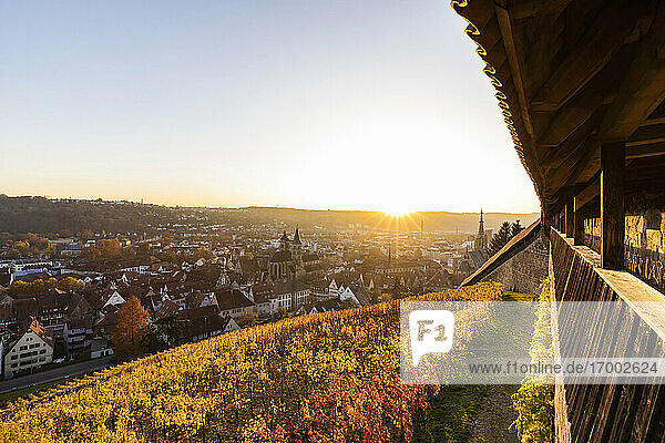Germany  Baden-Wurtttemberg  Esslingen  vineyards and town in Autumn at sunset  view from castle