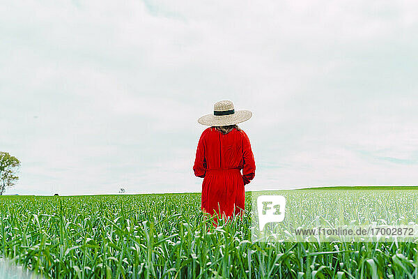 Back view of woman wearing red dress and straw hat standing on a field