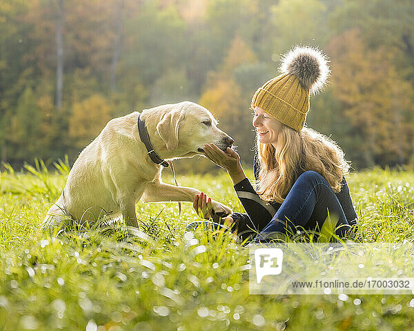 Lächelnde Frau spielt mit Hund im Park während der Herbstsaison