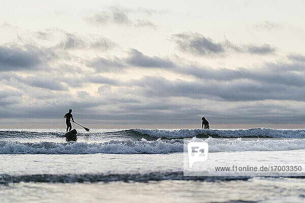 Freunde surfen mit Paddleboard auf dem Meer gegen den Himmel in der Morgendämmerung