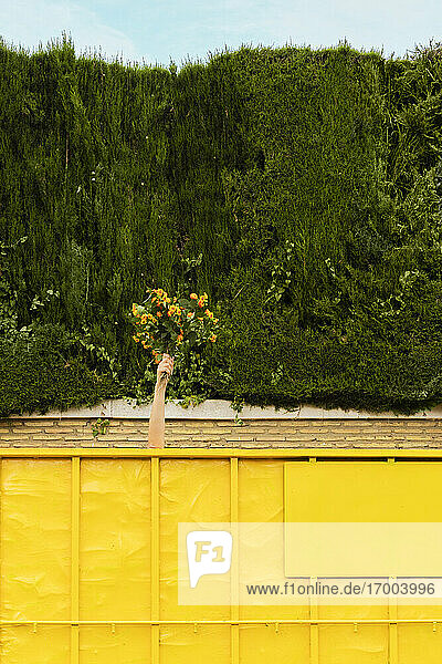 Woman's arm sticking out of yellow container  holding bunch of flowers