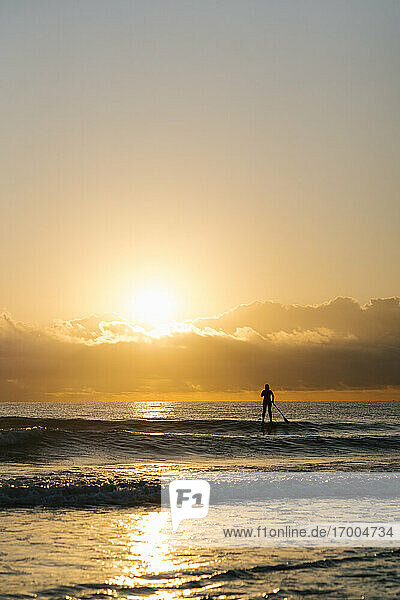 Silhouette woman surfing with paddleboard on Mediterranean Sea at dawn