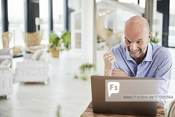 Aufgeregter Geschäftsmann  der eine gewinnende Geste zeigt  während er zu Hause am Laptop arbeitet