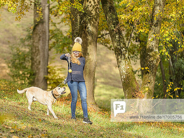 Junge Frau hält Hundespielzeug beim Spielen mit Labrador Retriever im Herbst im Park