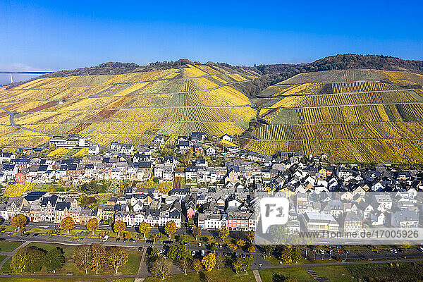 Deutschland  Rheinland-Pfalz  Zeltingen-Rachtig  Stadt und Weinberge im Herbst  Luftbild