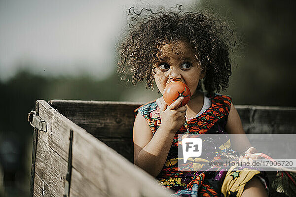 Curly hair baby girl eating tomato while sitting in truck