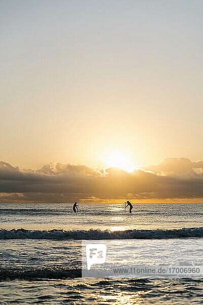Entfernte Ansicht der Silhouette Freunde Paddleboarding auf dem Meer gegen den Himmel in der Morgendämmerung