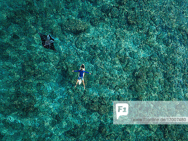 Aerial view of manta ray swimming beside lone surfer