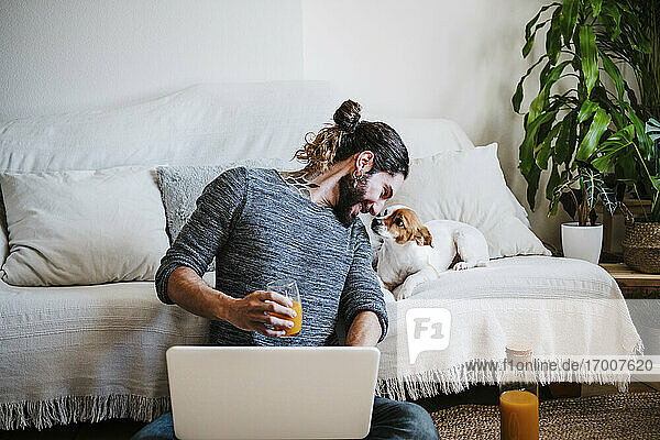 Mann mit Saft und Laptop lächelt  während er den Hund betrachtet  der zu Hause auf dem Sofa sitzt