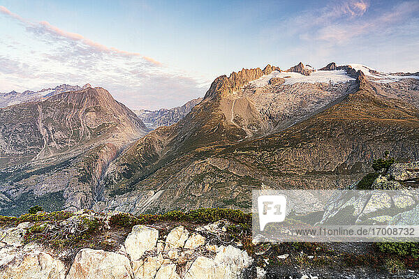 Gross Fusshorn  Rotstock und Geisshorn in der Morgendämmerung vom Aussichtspunkt Hohfluh  Riederalp  Berner Alpen  Wallis  Schweiz  Europa