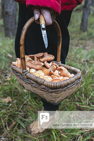 Young woman with basket of mushrooms and knife in forest in autumn