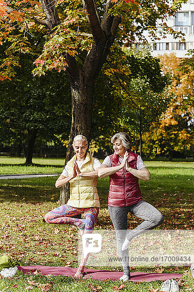 Reife Freundinnen üben gemeinsam Yoga im Herbstpark