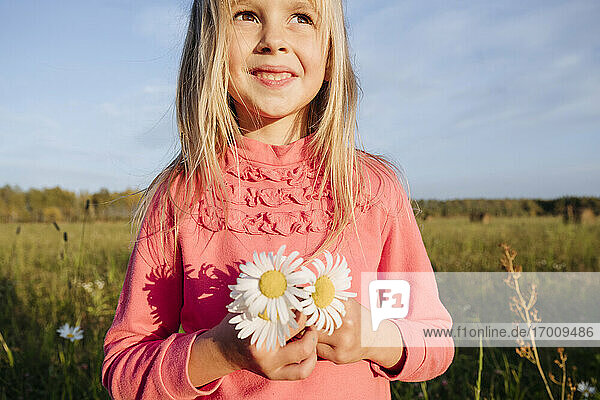 Nettes Mädchen  das Kamillenblüten hält und gegen den Himmel an einem sonnigen Tag wegschaut