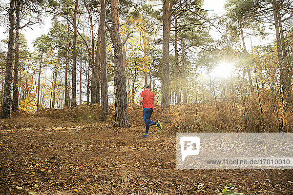 Man jogging in autumn forest at sunrise