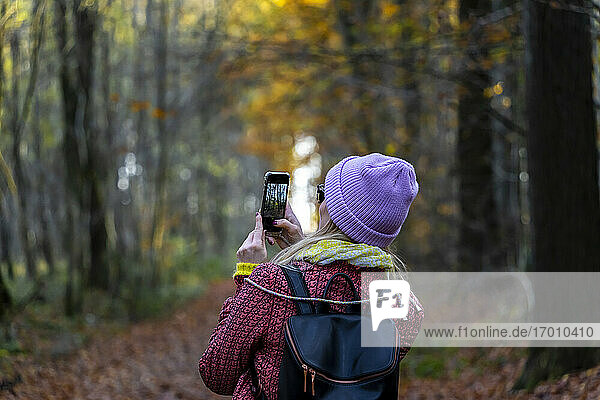 Frau fotografiert Bäume mit Smartphone im Wald im Winter