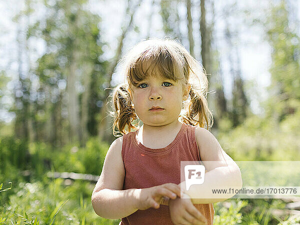 USA  Utah  Uinta National Park  Porträt eines Mädchens (2-3) im Wald