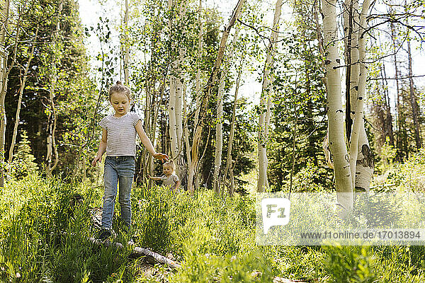 USA  Utah  Uinta National Park  Zwei Schwestern (2-3  6-7) beim Spaziergang im Wald